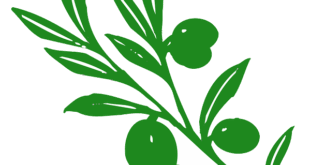 Birecik Fıstığı ve Zeytini ile Üreticilere Yönelik Destekler