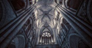 Birecik’te Tarihi Eser Kaçakçılığına Karşı Mücadele