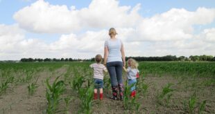 Birecik’te Tarımsal Kalkınma İçin Çiftçilere Eğitimler