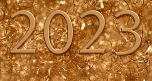 Birecik’te Yeni Eğitim Projeleri ve Başarı Oranları