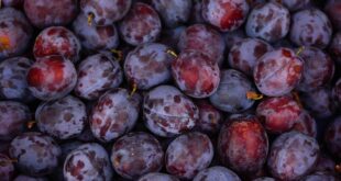 Birecik’te Yerel Ürün Pazarı: Halkın İlgisi Artıyor